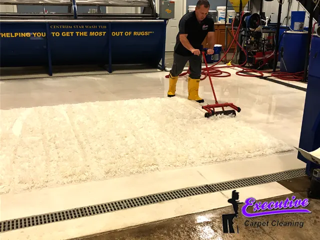 Wool Rug & Carpet Cleaning